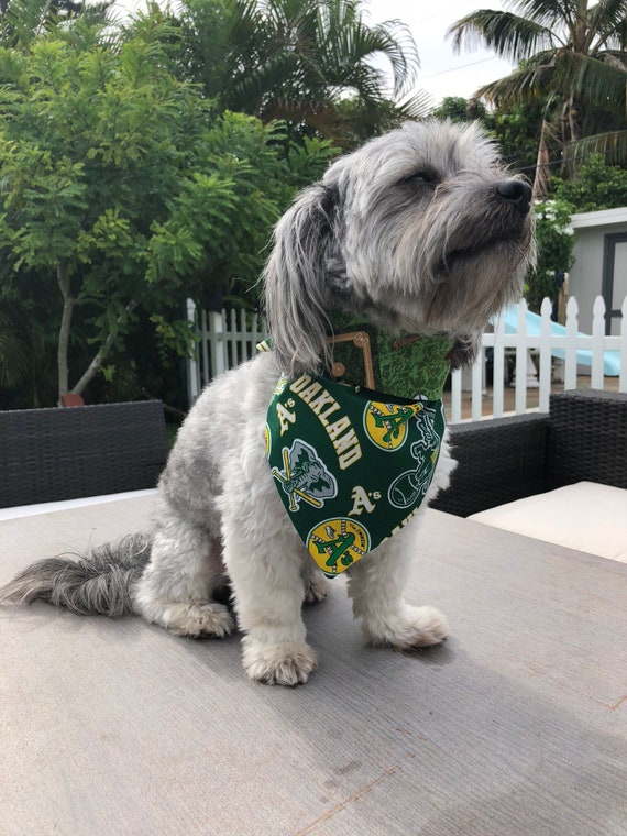 oakland athletics dog jersey