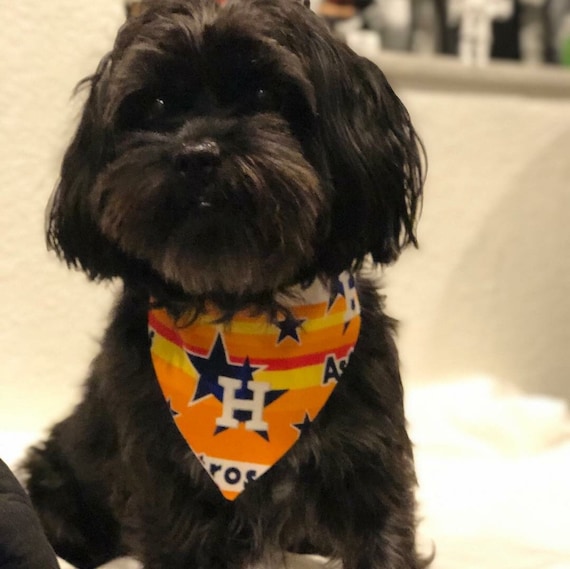 astros dog jersey