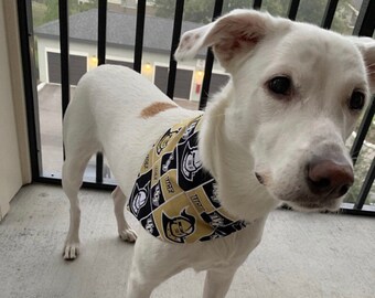 ucf dog shirt