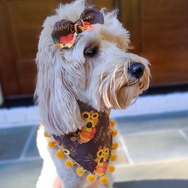 New! Thanksgiving brown pumpkin, Dog bandana, Snap on Bandana, Matching hair-bow, Bow and Bandana, Cute bandanas, bandana with ruffle, fall