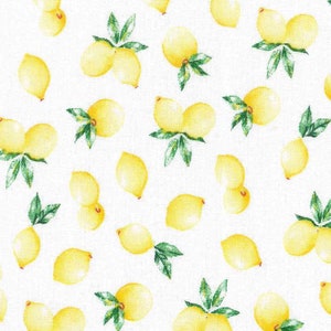 Limones Hund Bandana, tropischen Hund Bandana, Sommer Hund Bandana, Obst Hund Bandana