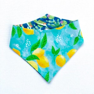 New! Lemonade and Cactus Dog Bandana, Pet Scarf, snaps on, tie on, Season bandana, pet bandana, summer fruits,