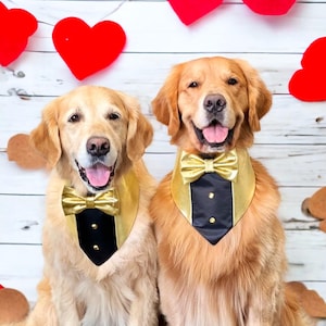 New! Dog Tuxedo bandana, New Years Dog scarf, Snap on Wedding attire for dogs, bandana with bowtie, happy new years