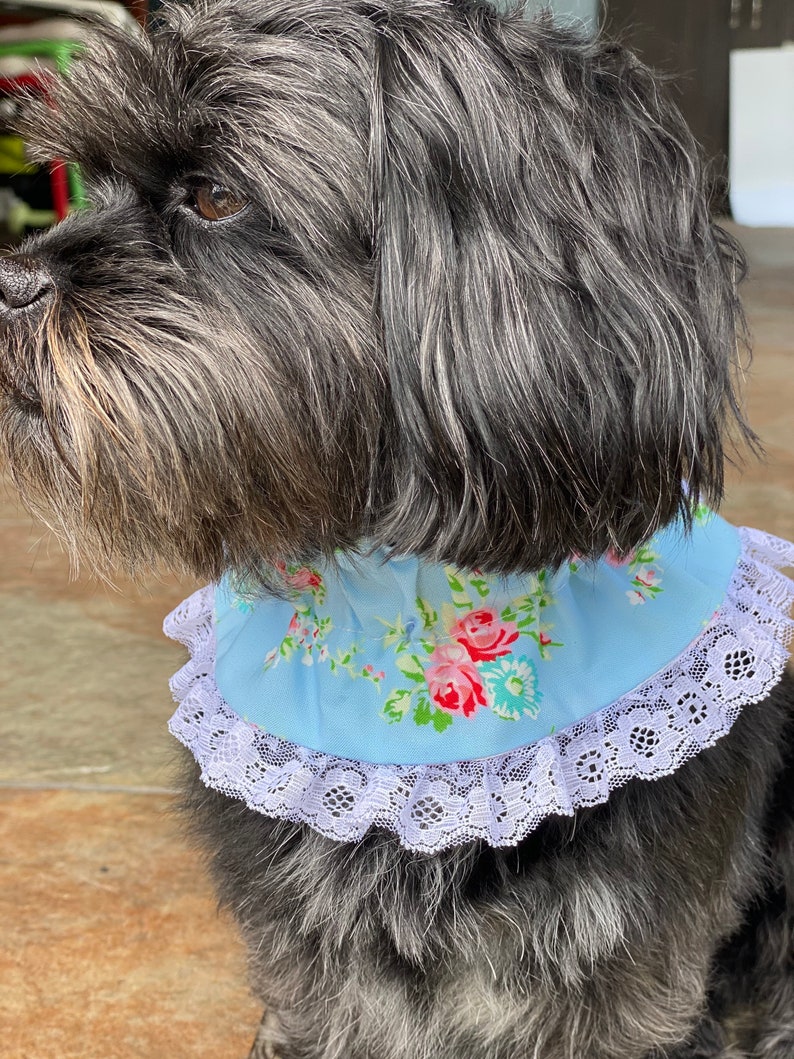 New Blue Harden Floral Dog Ruffle Collar Yellow and Pink Etsy