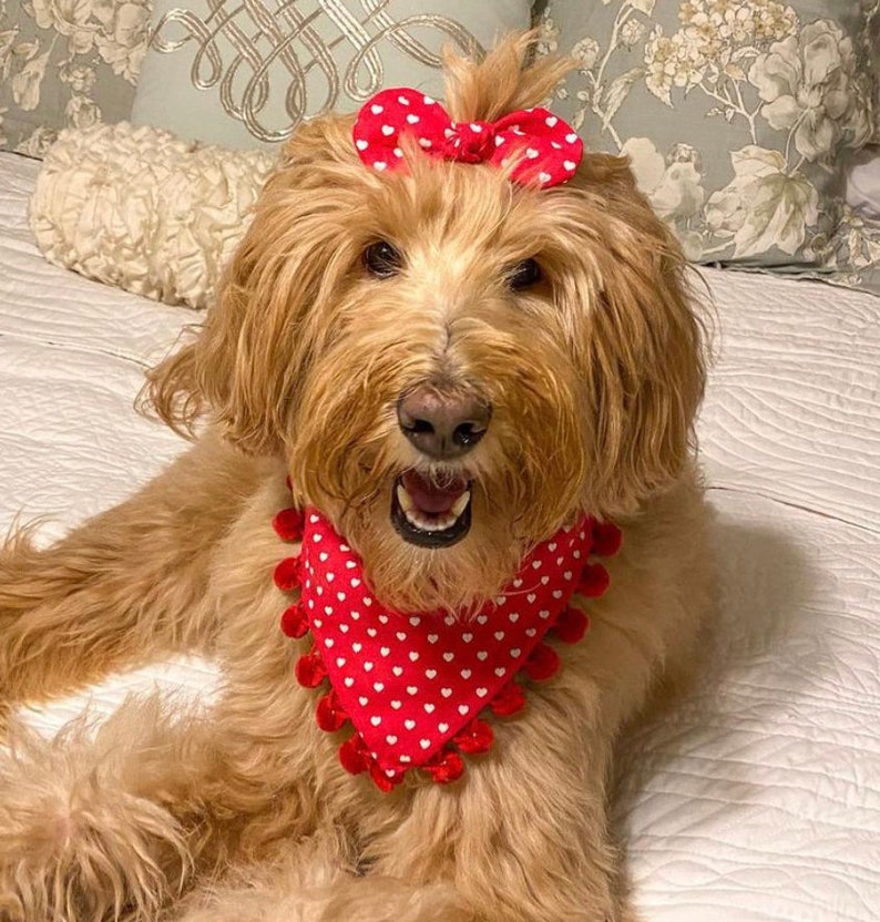 Valentines Dog Hair Bow Girl Dog Bow Hair Clip for Dogs Etsy