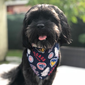 cubs pet bandana
