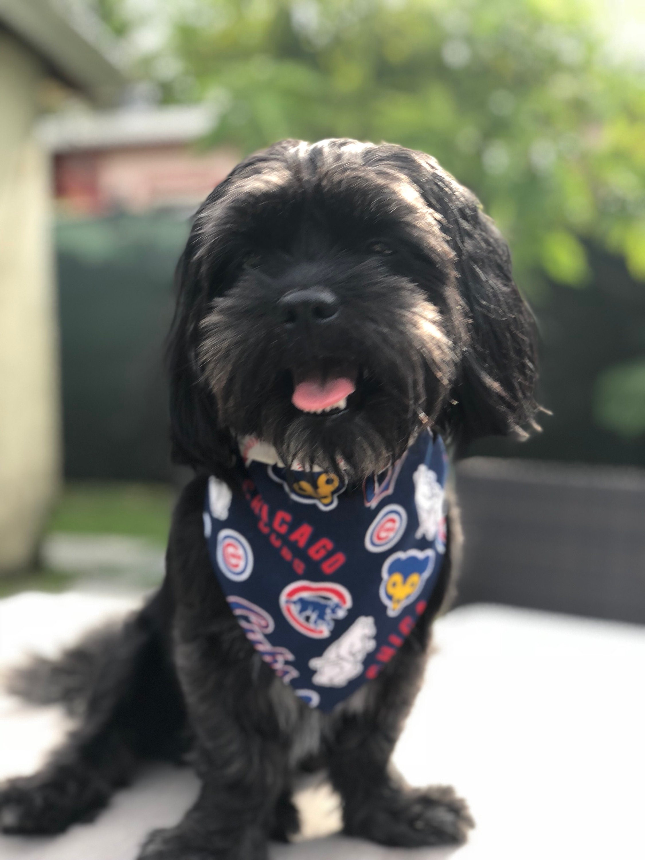 Pet Neckwear Chicago Sports Dog Bandanas Pet Supplies