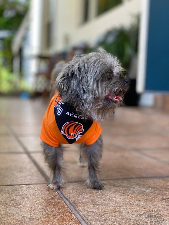 bengals dog gear