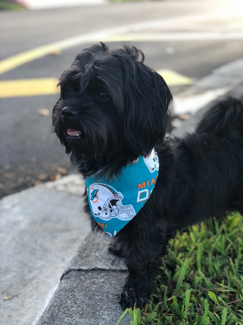 Miami Dolphins Dog Bandana Miami Dog Bandana Dolphins Dog Etsy