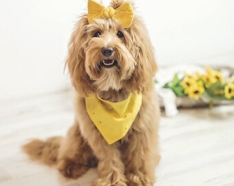 Mosterd hond Bandana