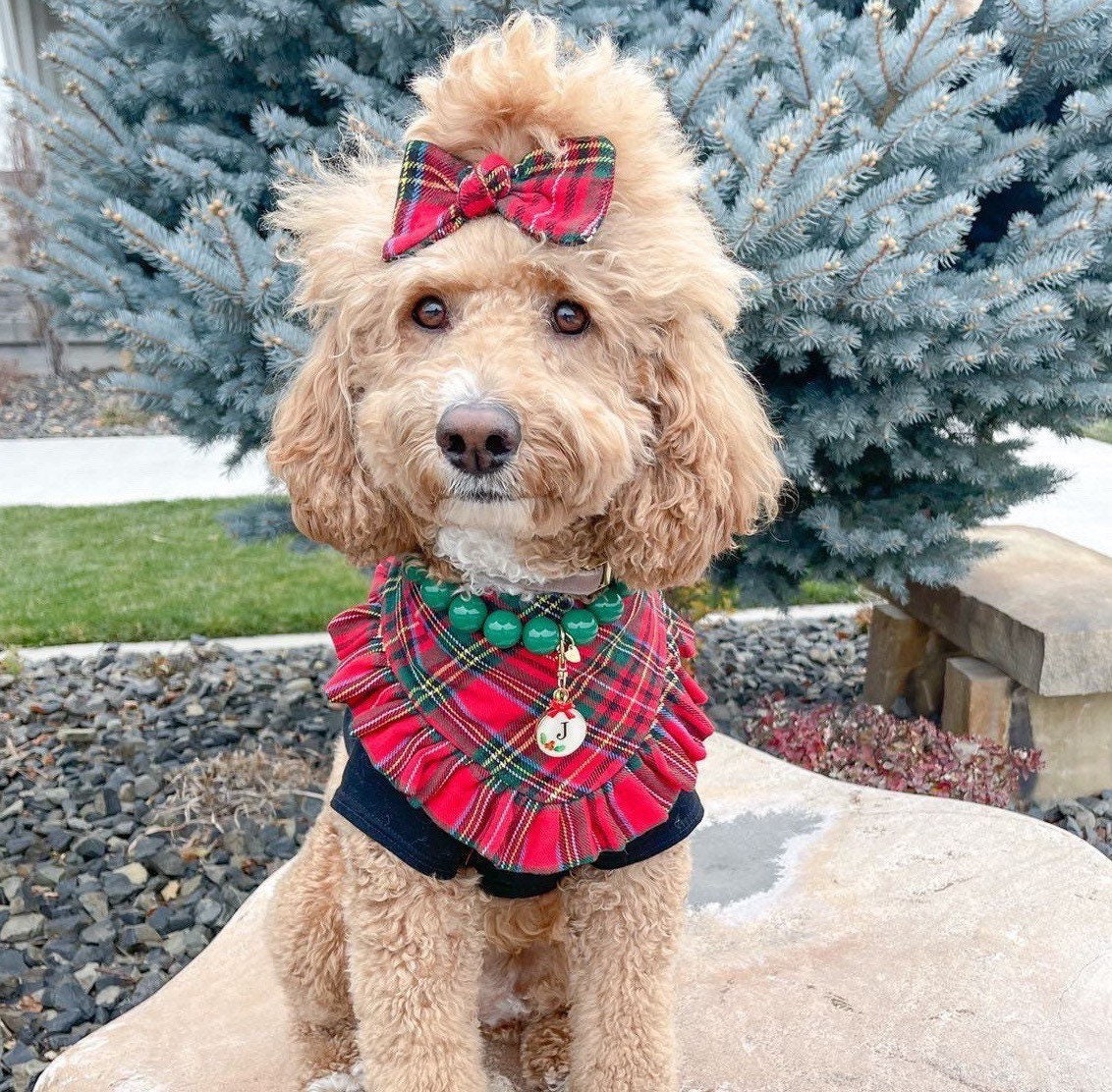 New Gold Velvet With Ruffles Dog Bandana Fancy Bandana Snap 