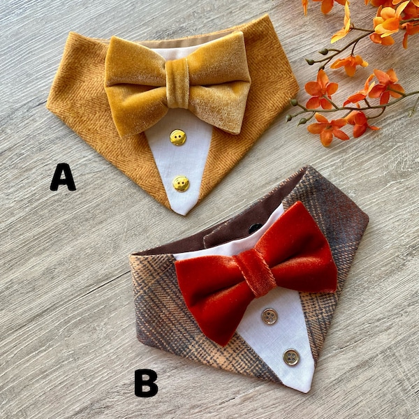 Tuxedo dog bandana, Velvet bowtie, Dog bandana, Snap on Bandana, Fall tuxedo, Fall bandana with bowtie, bandana with bowtie, autumns dog