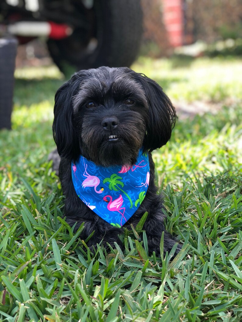 Pet Scarf Dog Accessories Home of the free land Red Dog Bandana Puppy bandana tie on summer bandana snaps on