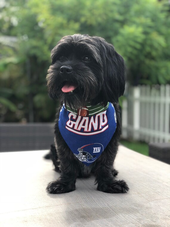 new york giants dog jersey