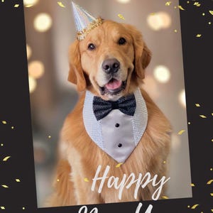 New! Dog Tuxedo bandana, New Years Dog scarf, Snap on Wedding attire for dogs, bandana with bowtie, happy new years