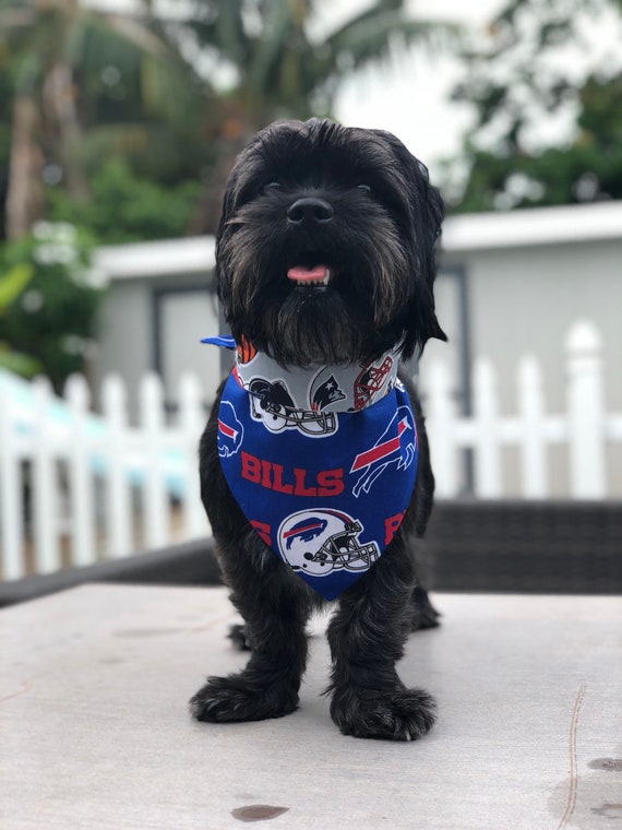 san diego chargers dog jersey