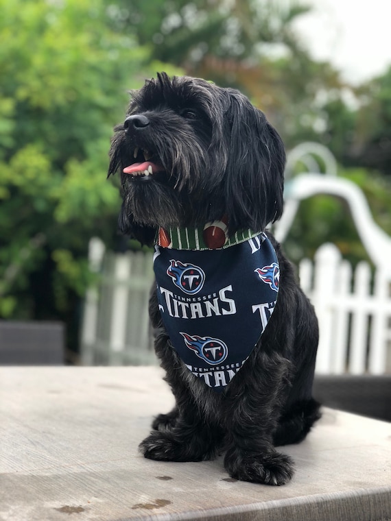 titans dog jersey