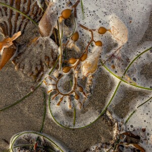 Postcard Pack: Sand & Water