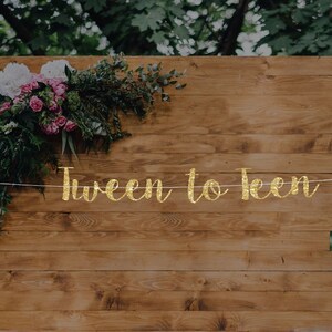 13th Birthday Glitter Banner: Teen Party Decorations