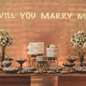 Will you marry me sign proposal sign marry me banner engagement photo prop wedding proposal marriage banner proposal ideas marriage proposal