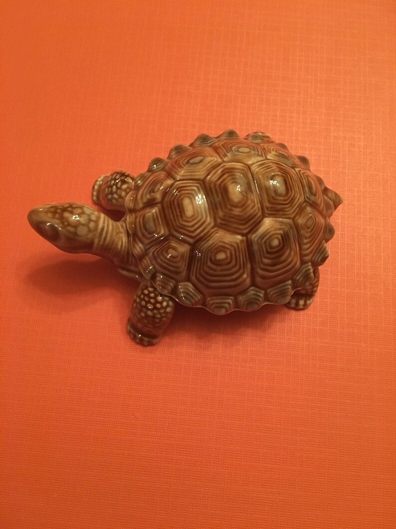 wade turtle