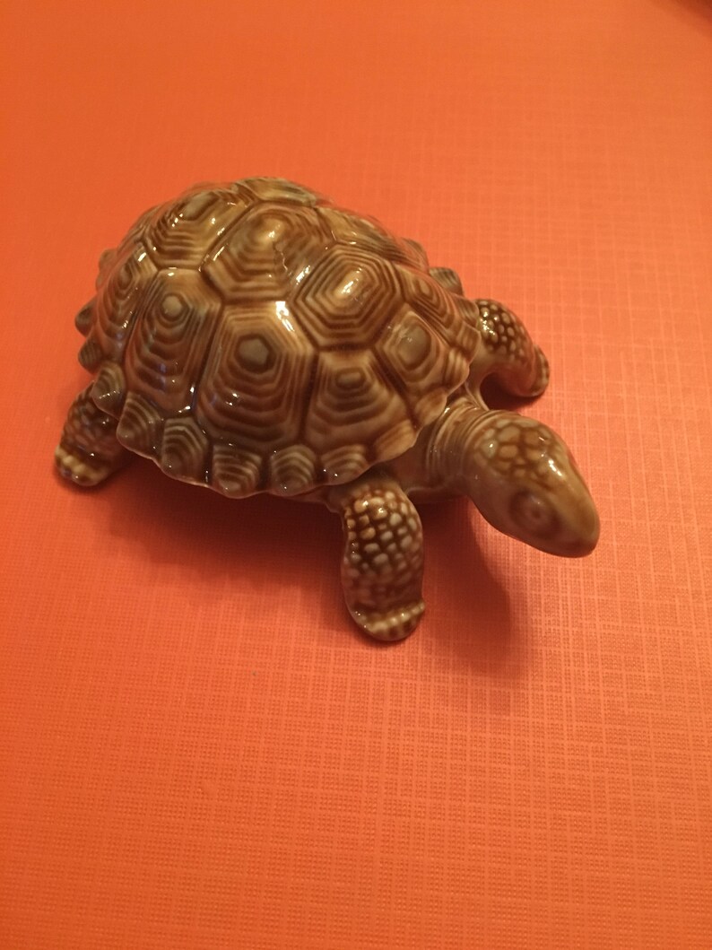 wade turtle