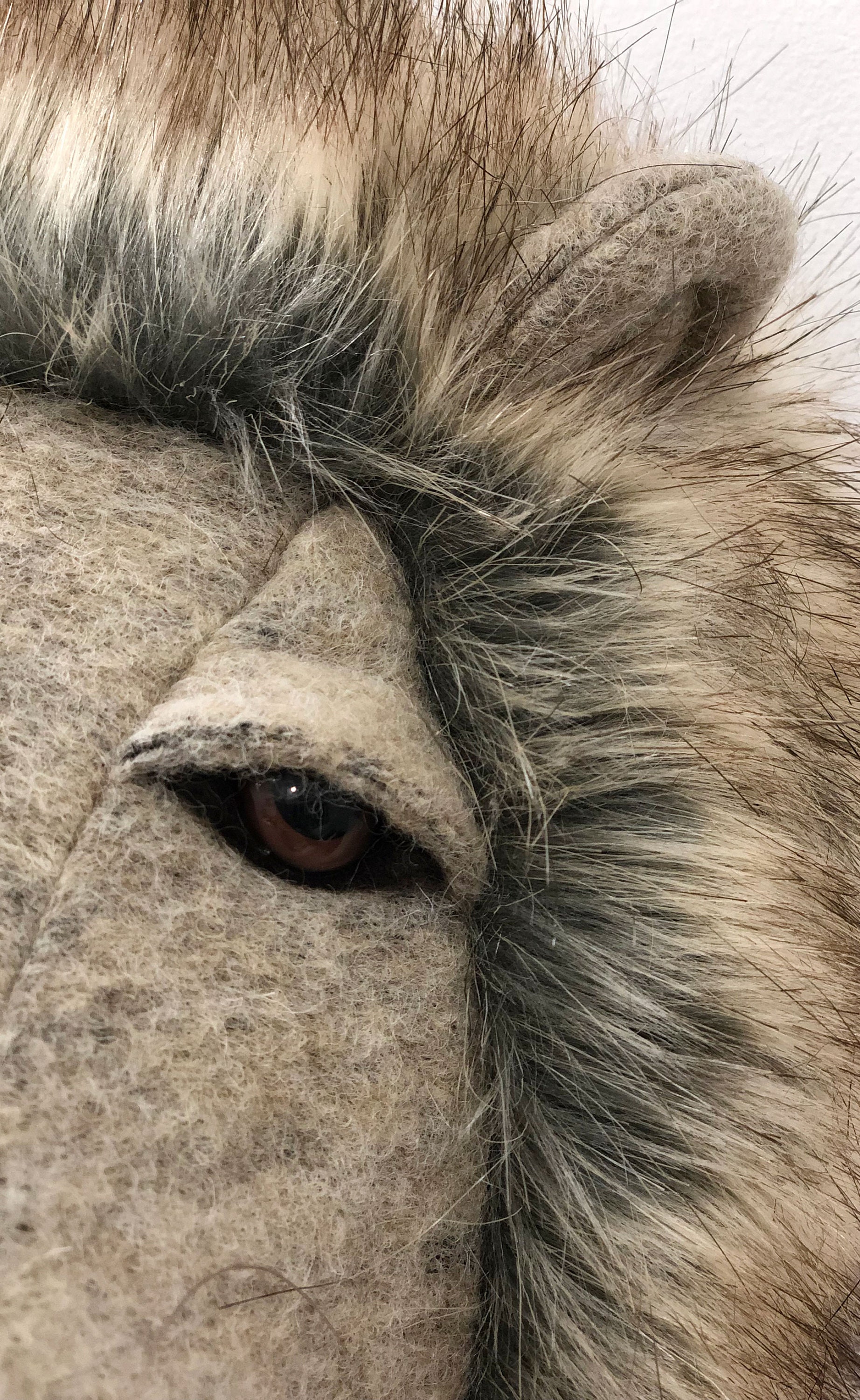 Faux Animal Head Wall Decor for Lion Nursery Etsy