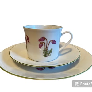 Peut inclure: Une tasse à thé et une soucoupe en porcelaine blanche avec un motif floral. La tasse a un bord vert et un motif floral avec des fleurs roses et des feuilles vertes. La soucoupe a un bord vert et un motif floral assorti.