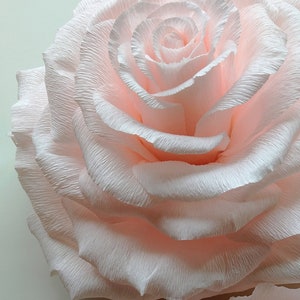 Customer set of Large paper flowers for events agency wall paper decor image 3