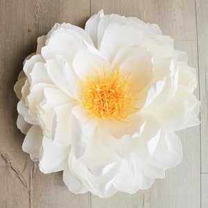 Peonia bianca gigante (50 cm) in carta per decorazione floreale