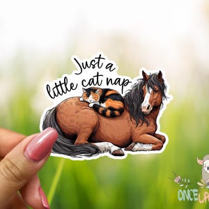 May include: A sticker featuring a brown horse with a black mane and a sleeping calico cat. The text "Just a little cat nap" is above the animals. The sticker is held by a hand with pink nail polish.