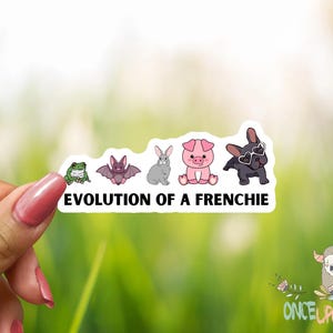 Evolution of Frenchie Vinyl Sticker - Dog Lover Decal