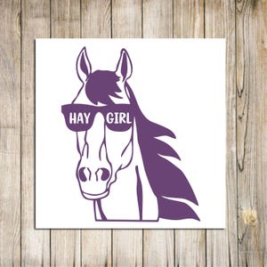 Hay Girl Decal, Horse Car Decal, Horse Sticker, Horse Head Decal, Funny Horse Decal, Horse Sticker, Farmer Decal, Horse Lover, Horse Girl,