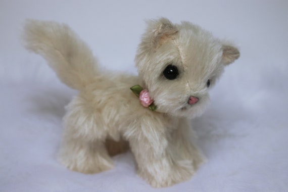 white cat teddy