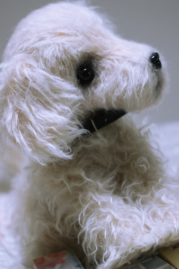 Big teddy dog hot sale