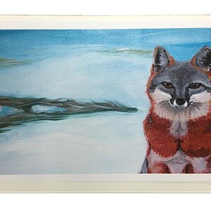 Wildlife Artwork of North American Fur Bearers by Bryna Jaqua (Grey Fox)