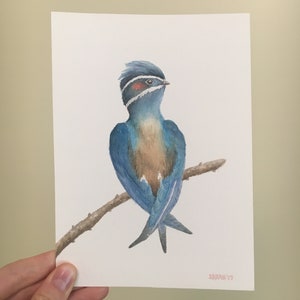 Watercolor Bird Original