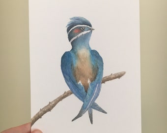 Watercolor Bird Original