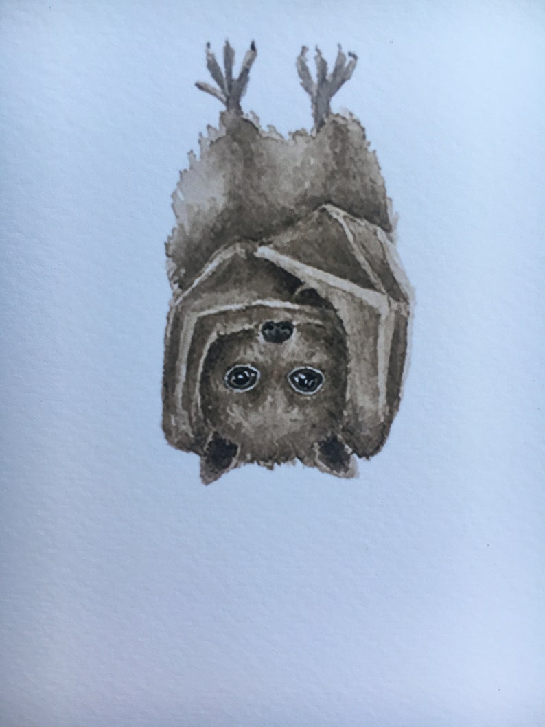 5x7\u201d Baby Bat Watercolor Print