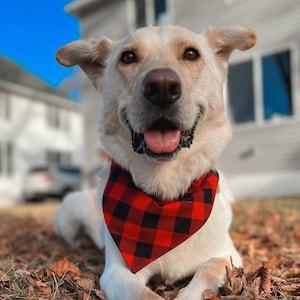 Bandana de Noël pour chien / Bandana personnalisé pour chien / Bandana à carreaux rouge buffle / Bas de Noël / Accessoires de vacances pour animaux de compagnie / Cadeau de Noël