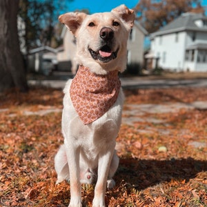 Christmas Dog Bandana / Holiday Bandana / Gingerbread Dog Bandana / Christmas Cat Bandana / Personalized Dog Bandana / Scrunchie Bandana