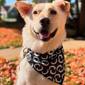 Vampire Dog Bandana | Vampire Fangs Pet Bandana | Halloween Pet Costume | Spooky Dog Bandana | Fangs Pet Bandana Bild 3