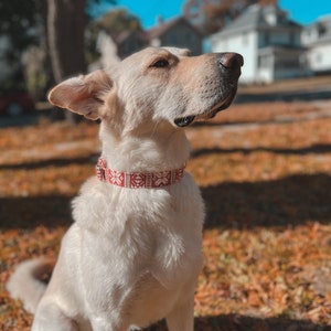 Winter Dog Collar / Holiday Dog Collar / Christmas Dog Collar /Dog Christmas Sweater / Cat Collar / Holiday Gift / Christmas Gift/ Breakaway