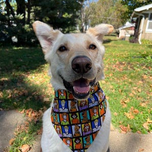 Nostalgic Dog Bandana / Halloween Dog Bandana / SD Dog Bandana / Meddling Kids Dog Bandana / Zoinks Dog Bandana