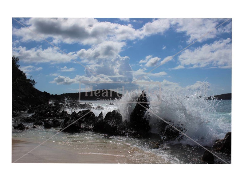 Photo Print-Tropical Waves