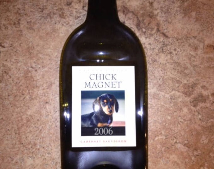 FREE SHIPPING Chick Magnet Dog Slump Melted Flat Wine Bottle Cheese Tray Spoon Rest Glass Eco Gift