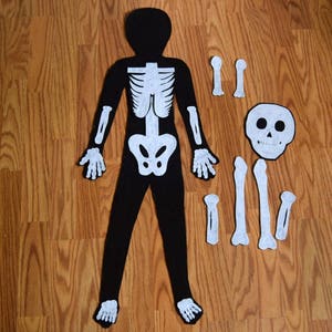 Human Body Template Kit image 3