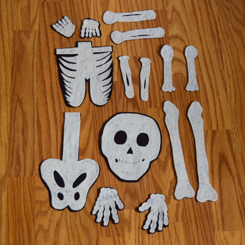 Human Body Template Kit image 5