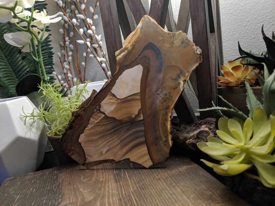 China Hollow picture Jasper one pound slabs from 30 yr old Etsy Italia