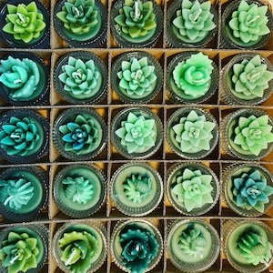 Mini Succulent Beeswax Candles